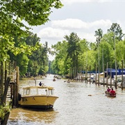 Tigre Delta, Argentina