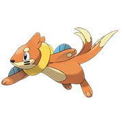 Buizel