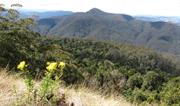 Mount Royal National Park (NSW)