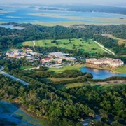 Wadmalaw Island, South Carolina