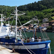 Mater Museoa, Pasaia