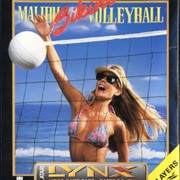Malibu Bikini Volleyball
