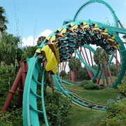 Taking the Thrills in Fun Park Busch Gardens in Tampa, USA