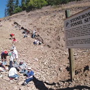 Stonerose Interpretive Center & Eocene Fossil Site (Republic)