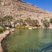 Relaxing at the Desert Oasis of the Middle East