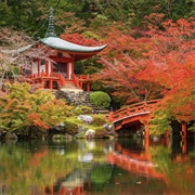 Ancient Kyoto - Japan