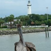 St. Simons Island, GA, USA
