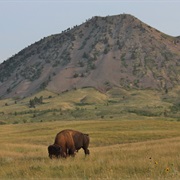 Bear Butte State Park, South Dakota