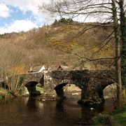 Fingle Bridge
