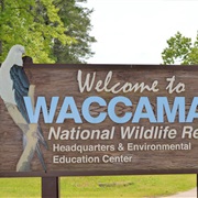 Waccamaw National Wildlife Refuge