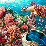 Puerto Galera, Philippines