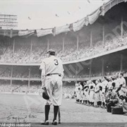 The Babe Bows Out - Nat Fein