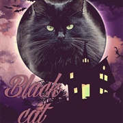Black Cat Angelina Jensen