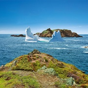 Twillingate NL
