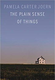 The Plain Sense of Things (Pamela Carter Joern)