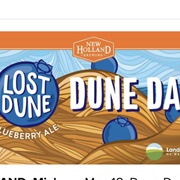 New Holland Lost Dune Blueberry Ale