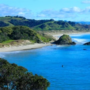 Tawharanui Regional Park