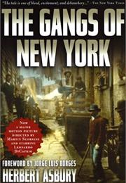 The Gangs of New York