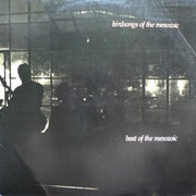 Birdsongs of the Mesozoic - Beat of the Mesozoic