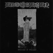 Aldebaran - Dwellers in Twilight