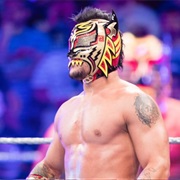Lince Dorado
