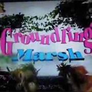 Groundling Marsh