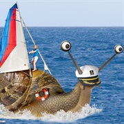 Snail Boat
