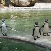Saarbrücken Zoo