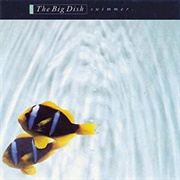 The Big Dish-Swimmer