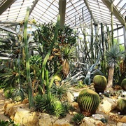 Palmengarten, Frankfurt