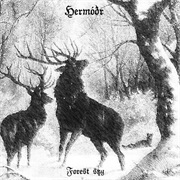 Hermóðr - Forest Sky