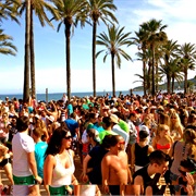 Visit a Party Destination