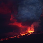 Volcán Wolf, Galápagos Islands