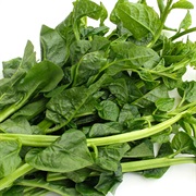 CEYLON SPINACH