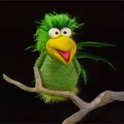 Forcryingoutloud Bird