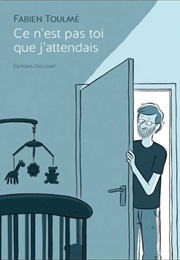 Ce N'est Pas Toi Que J'attendais (Fabien Toulmé)