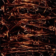 Zeni Geva - Freedom Bondage