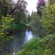 Elijah Bristow State Park, Oregon