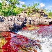 Caño Cristales, Meta
