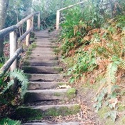 Manchester State Park, Washington