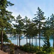 Roche Harbor