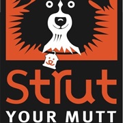 Homeless Pets Fundraiser