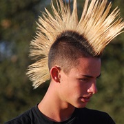 Have a Mohawk