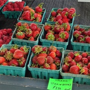 Olympia Farmers Market