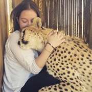 Experience Cheetah Conservation in Africa