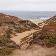 Fort Ord Dunes State Park, California