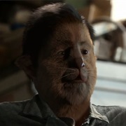 Eisbiber - Beaver Wesen