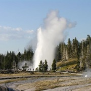 Geyser