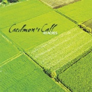 Caedmon's Call 40 Acres