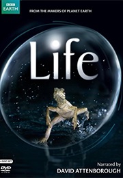 Life BBC (2009)